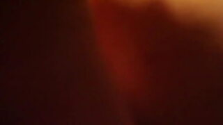 animation fox