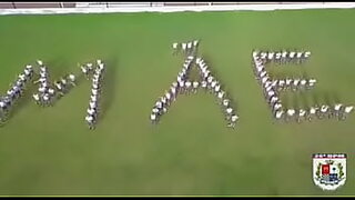 anal brazil
