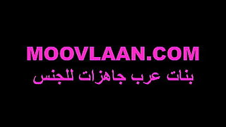 alina angil iraq