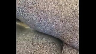 18 ass