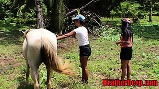 1 vs 20 viral