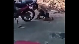 12 ols