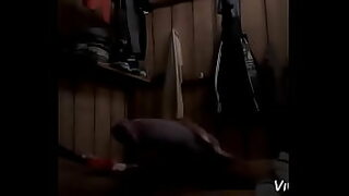 ama de casa dp