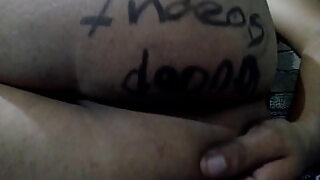anl dart