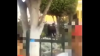 10 sal ladka ka x video