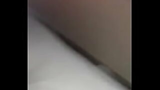 animation fox