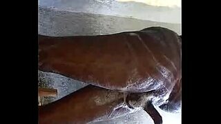 135 sex com