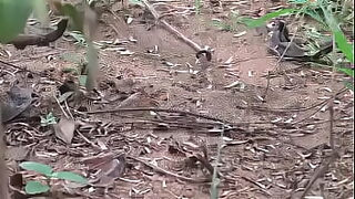anak kecil tidak ada bulu
