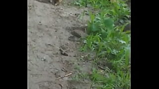 videos cachondos