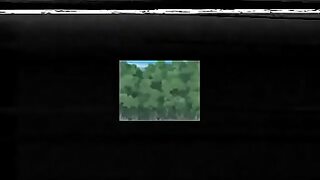 animation mirror
