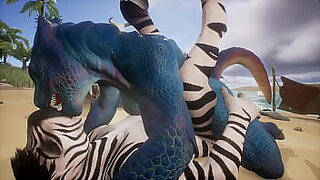 bryci zebra