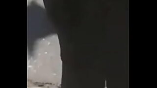 1 ro de la eso