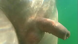 13 inch dick