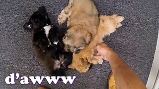 14 sal ke like or 18 sal a lka xx video