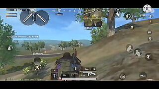 action in the cat