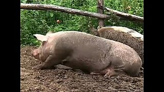 10 guys on one lady