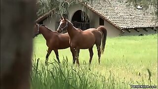 18 year old girl and 18 year old boy f video
