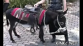 1 girl and horse fucking