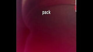 animation fox