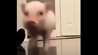 1080p un ouvrier costaud sest fait prendre en train de se branler dans un escalier