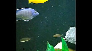aditya big butt