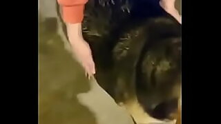 ass dik