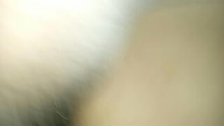 1 ro de la eso