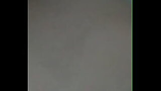 animation fox