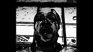 anuska seen